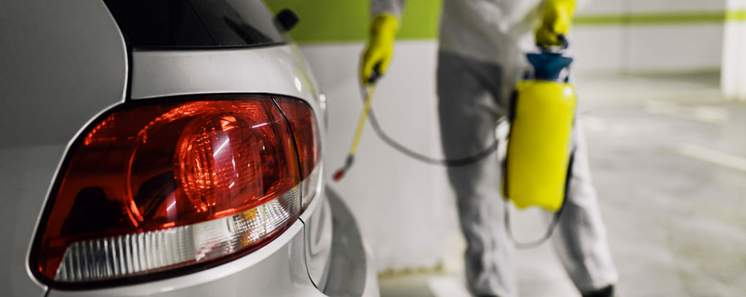 Lavage Auto Martinique Nck Wash Nettoyage Voiture Professionnel Detail Carrosserie Polissage Cire Interieur Exterieur Ecologique Rapide Local 972traitement Ravet Martinique 1710442261